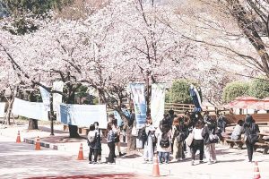 Sinh viên trong ngày nhập học tại trường Soonchunhyang Hàn Quốc